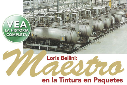 Loris Bellini: Maestra en la Tintura en Paquetes