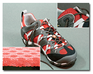 shoe