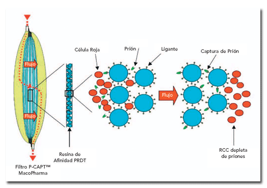 medschematic