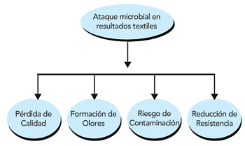 Sarex2